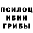 Псилоцибиновые грибы мицелий TOLYAN NICE