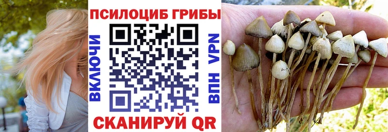 МЕГА ссылка  где найти   Чусовой  Галлюциногенные грибы мухоморы 